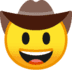 :cowboy_hat_face: