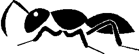 AN04196_
